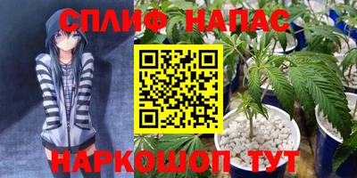 крисы Гусиноозёрск
