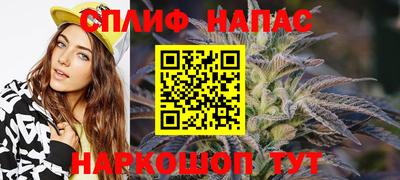 тгк Гусев
